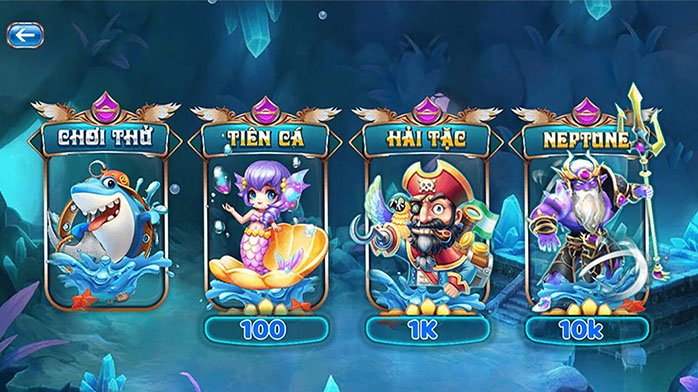 Chúng tôi có hỗ trợ vận hành game bài không?